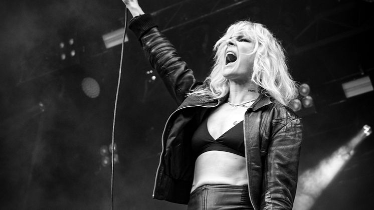 The Sounds live 2022