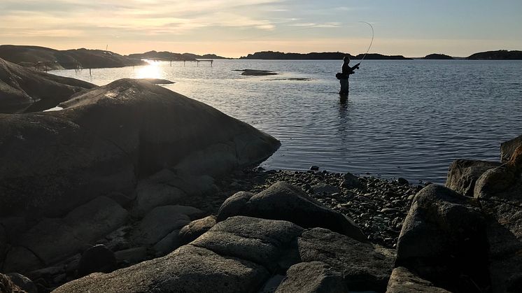 Färre ägnade sig åt fritidsfiske 2022
