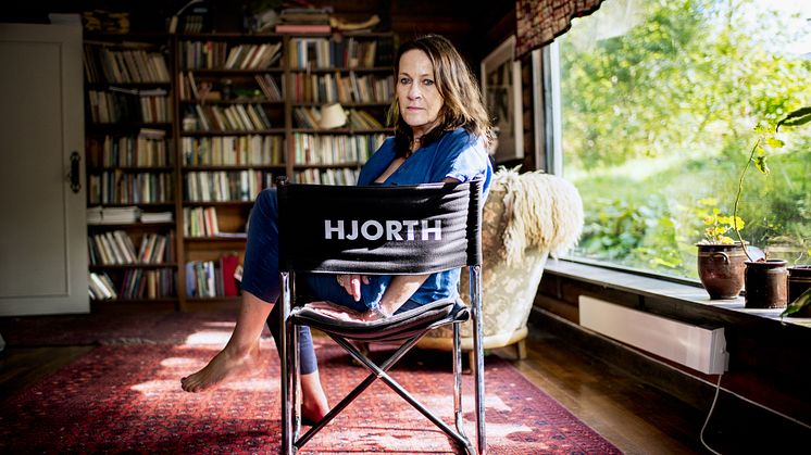 vigdis Hjorth