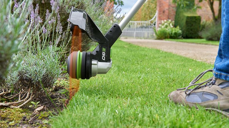 Line_Trimmer_Edger (1).jpg
