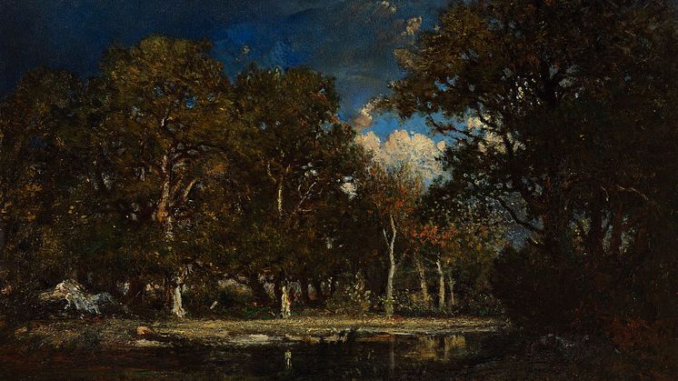 Théodore Rousseau, A Pond in the Forest. La Mare aux Evées, Forest of Fontainebleau, 1840s. Photo: Cecilia Heisser.