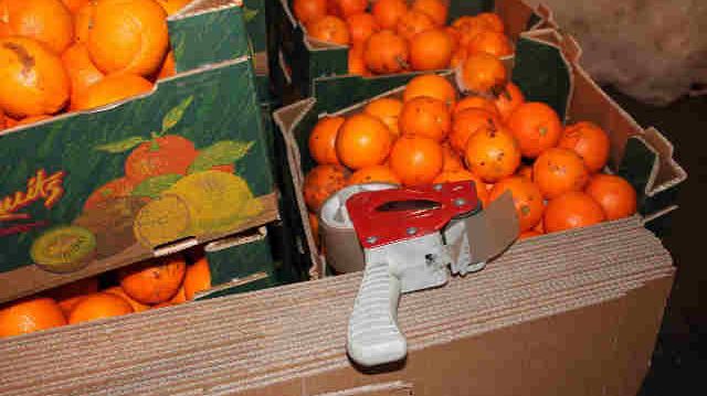 Op Quadrant Oranges used as coverload for smuggling