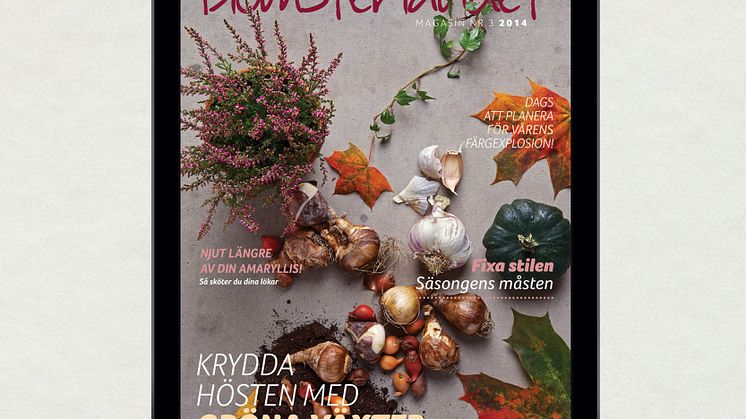 Nytt nummer ute nu av Blomsterlandets Digitala Magasin!