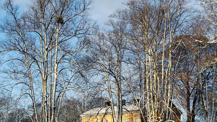 Thoresta Herrgård fyller 30 år
