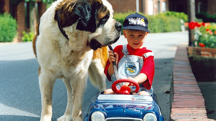 Junge mit Bernhardiner und Tretauto
