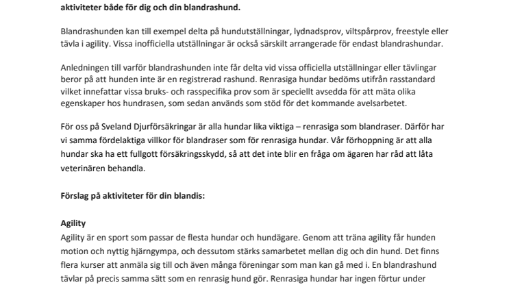 Aktiviteter för din blandrashund 