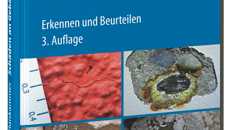 Schäden an Gebäuden 3D (tif)
