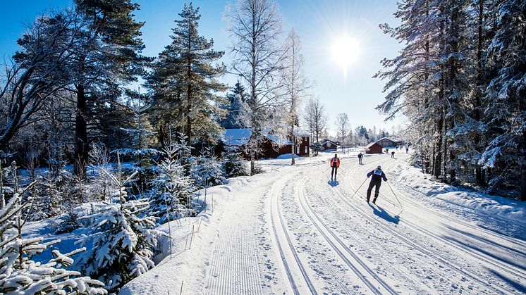Winners will be crowned in Tjejvasan and Vasaloppet 2021 – Vasaåket 2021, in the Vasaloppet Arena, launched