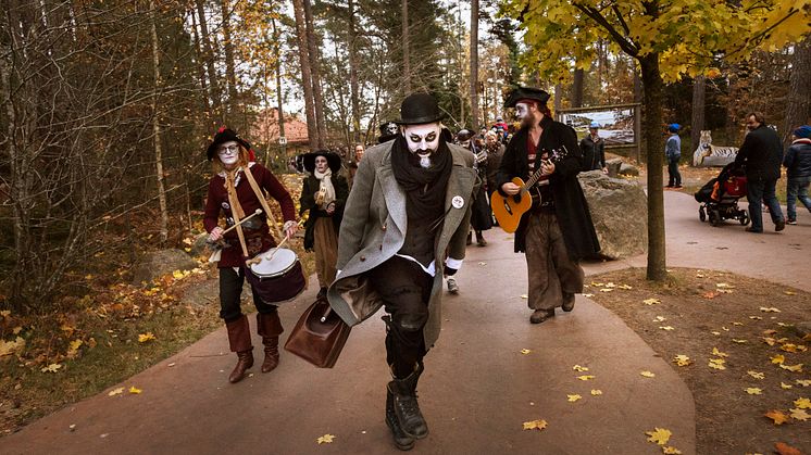 Besöksrekord för Kolmården under Halloween