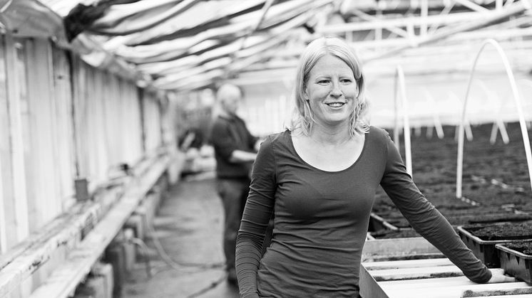 Hanna Wihlborg, Trädgårdsmästare på Orevads- och Vä Handelsträdgård