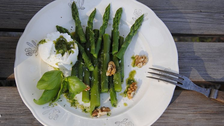 För två: Koka ett knippe sparris, dela en god buffelmozzarella, mixa olivolja med basilikablad och ringla över. Salt, peppar några valnötskärnor och ev en citronklyfta. Ät och njut! Det är något speciellt med den svenska sparrisen.