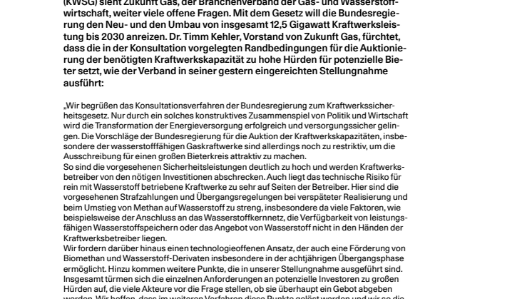 20241024_Pressestatement_Konsultation Kraftwerksicherungsgesetz.pdf
