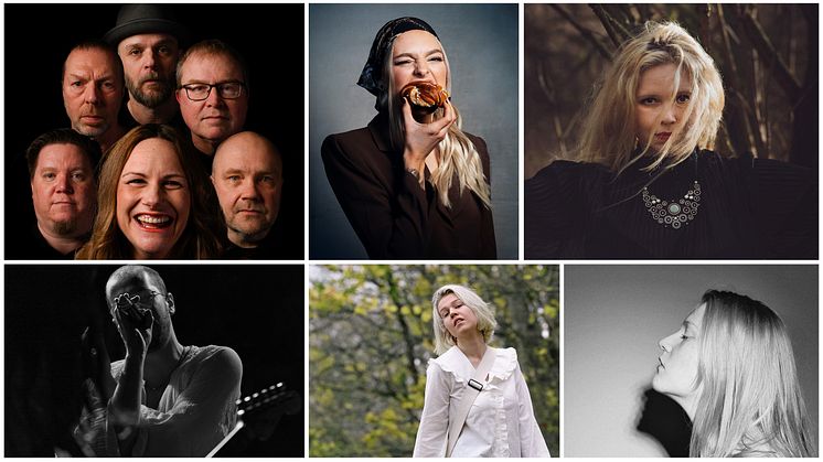 Övre raden från vänster: Gravy Train, Sabina Thurner och Starur. Nedre raden från vänster: Peter Åberg, Lovisa Niklasson och Hilma.