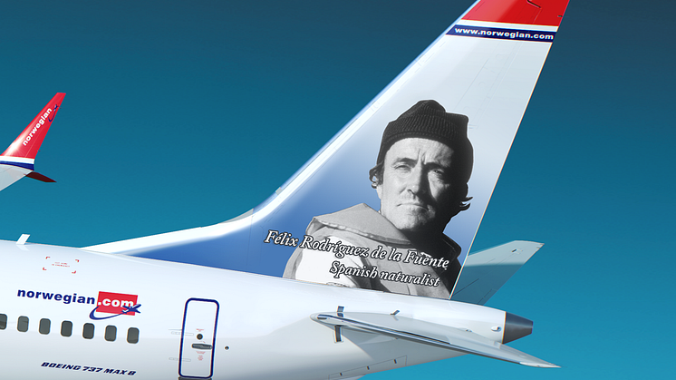 Rodriguez de la Fuente - Boeing 737 MAX 8 - detalle
