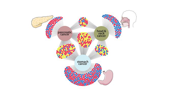 IMAGE 2 WILSON visual abstract UPDATED