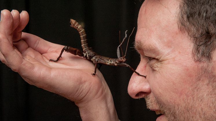 Plants and the Human Brain - Why humans think like insects