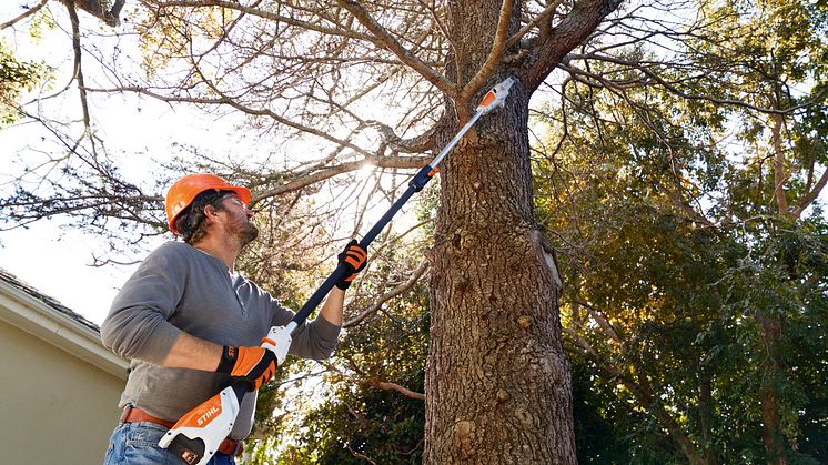 Takket være en lav vægt og en fremragende balance bidrager den batteridrevne stangsav STIHL HTA 50 til et enkelt og problemfrit havearbejde.