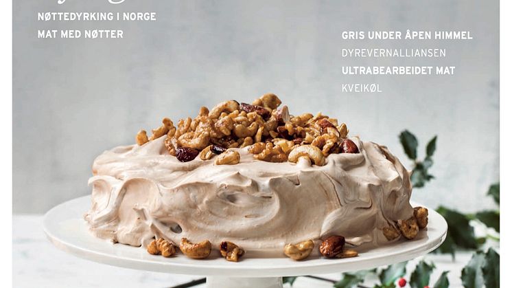Ren Mat nr. 30 "Nyttige nøtter"