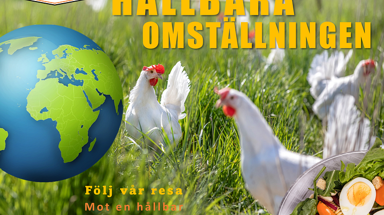 Stjärnägg – Drivande kraft i den hållbara omställningen!