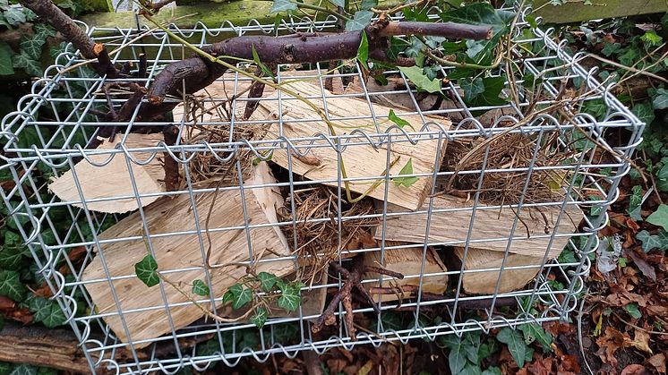 St Albans bug shelters