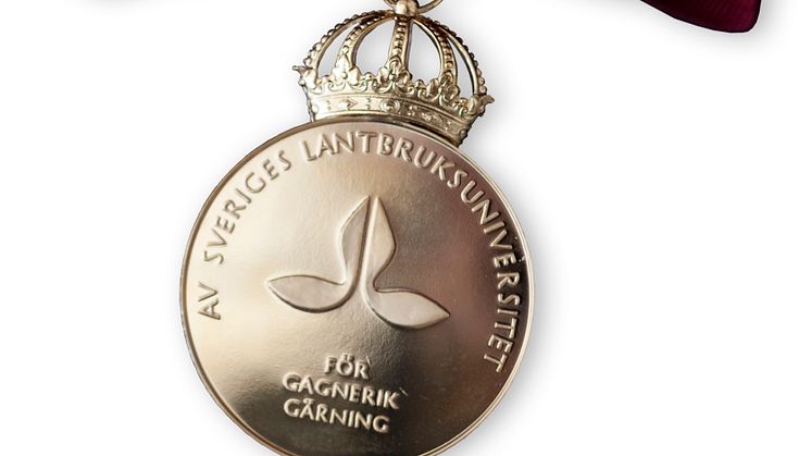 Förtjänstmedalj