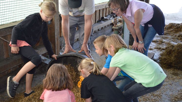 Grundschüler aus Oberbrügge auf Bauernhof-Entdeckungstour