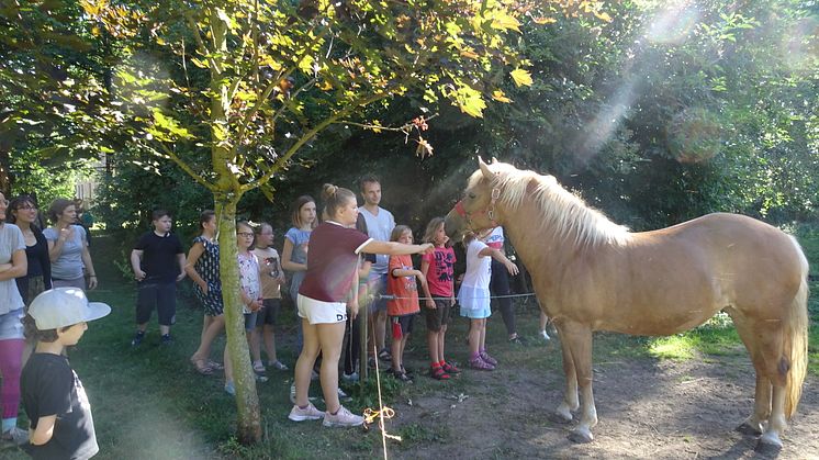 Geschwisterkinder fahren ins Sommerfreizeitcamp nach Oberau