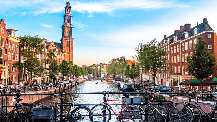 3. Amsterdam – för långpromenad-hunden
