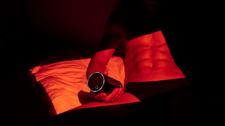 LELO F1S V2