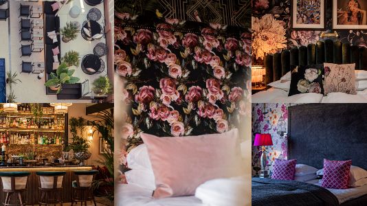 Room Republic består av The Vault Hotel, V Hotel Helsingborg, Hotell Statt Hässleholm, Palma Suites och Hotel Feliz i Palma Mallorca, samt välgörenhetsorganisationen Dandelion Child i Sydafrika.