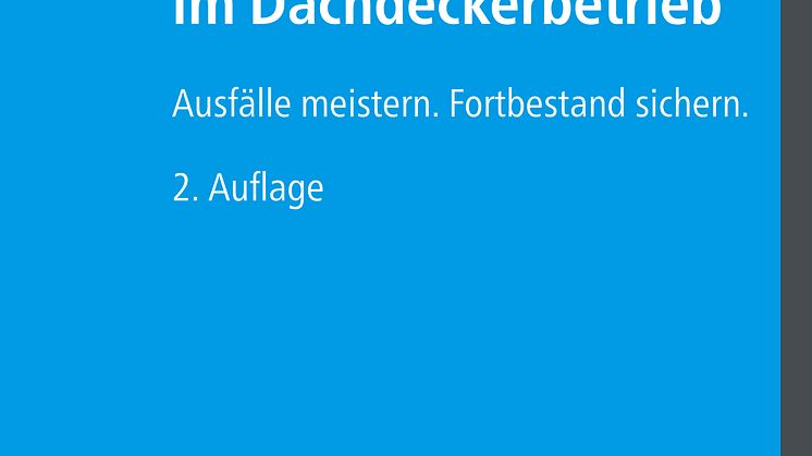 Notfallmanagement im Dachdeckerbetrieb (2D/tif)