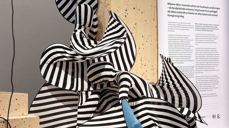 Imagine, Amanda Wisselgren