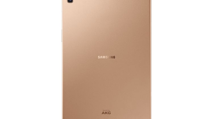 Samsung Galaxy Tab S5e_Back_Gold