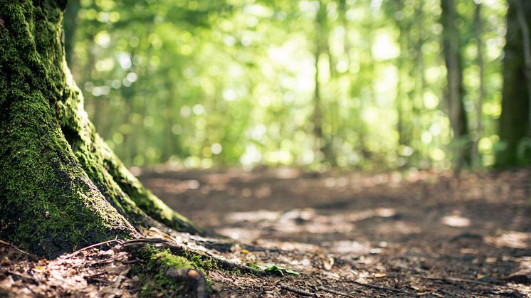 23 april 10-17 förvandlas Fjärås Bräcka till ett friluftscamp - en folkfest med massor av inspiration inför sommarens semester och tips för ett aktivt friluftsliv.