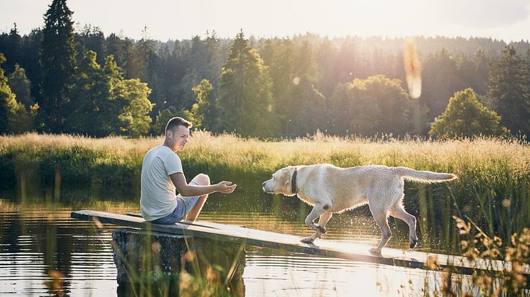 Källa: Doggy AB