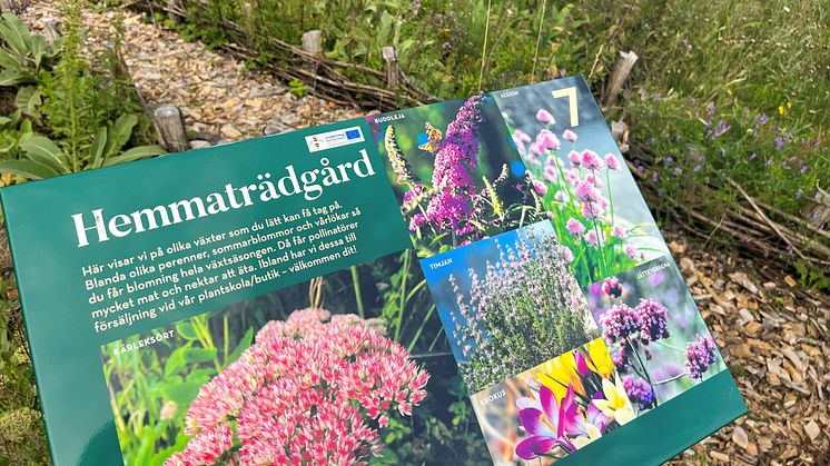 Öppet hus i Nyttodjurparken på Kiviks Musteri