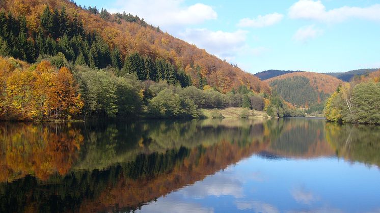 Schleusegrund Talsperre i Thüringer Wald