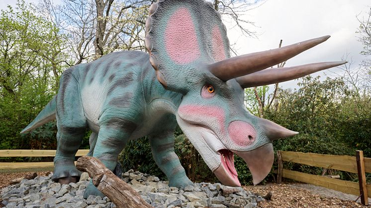 Triceratops im Zoo Leipzig 