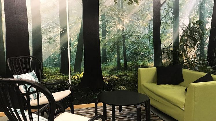 Nu vistas våra elever i grönskande lokaler