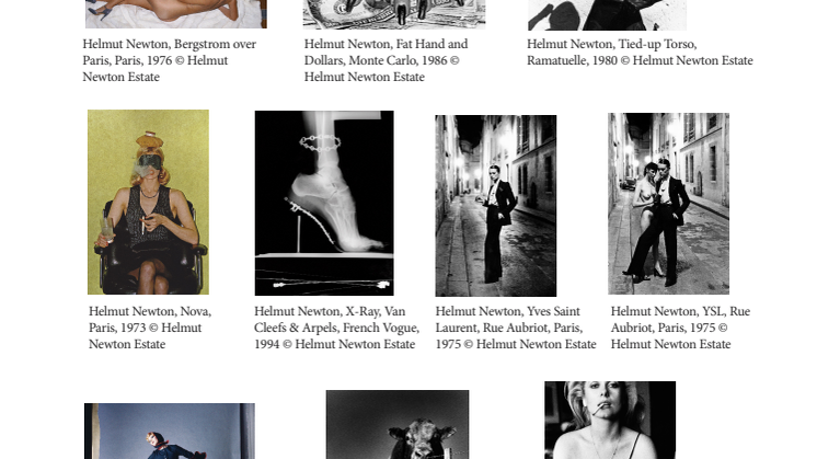 Helmut Newton Low res 