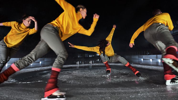 Le Patin Libre - Murmuration