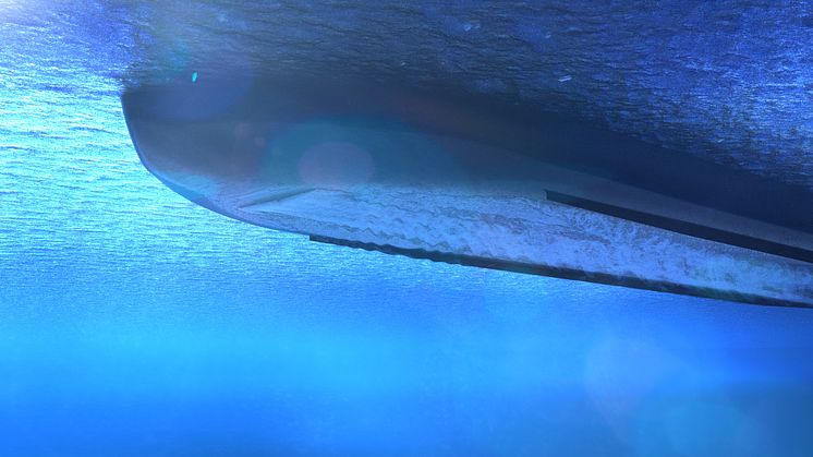 BD2634 - Underwater.jpg