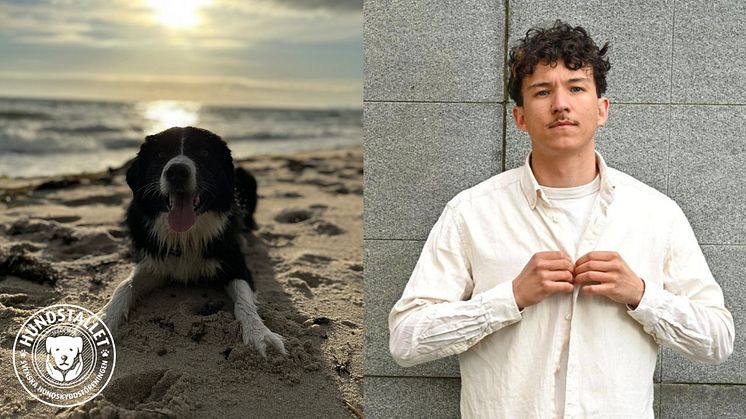 Hunden Panda och Frans |Fotograf: Tommy Lindblom