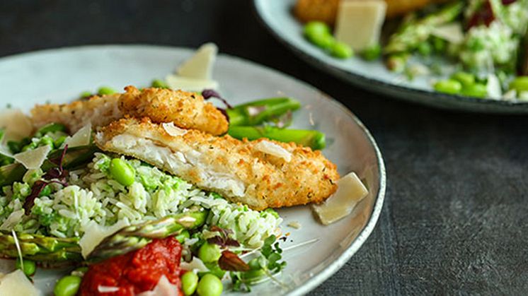 Frasiga fisknyheter från Findus på 100% fiskfilé