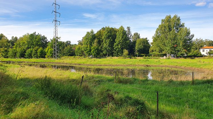 Dagvattendamm Strömsborg