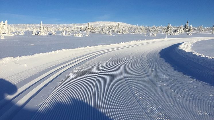 Skidspåret ”Högfjällsrundan" 879 m ö.h. i Storhogna