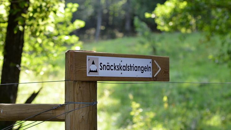 Den nya vandringsleden Snäckskalstriangeln passerar genom tre skalgrusområden i Uddevalla.