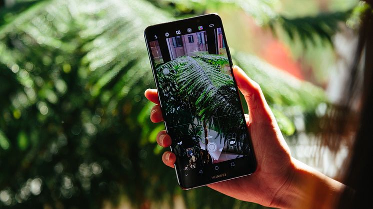 Mate 10 Pro_Picture