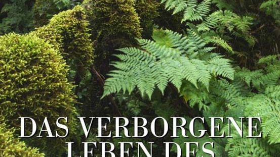 Buchtipp: Das verborgene Leben des Waldes