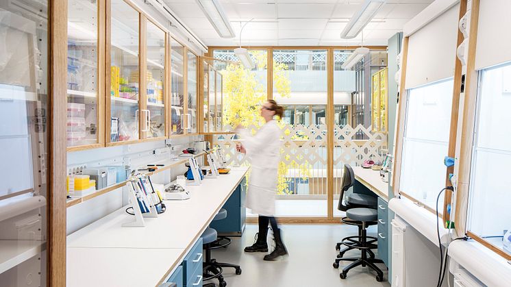 Natrium, Göteborgs universitet, LINK Arkitektur